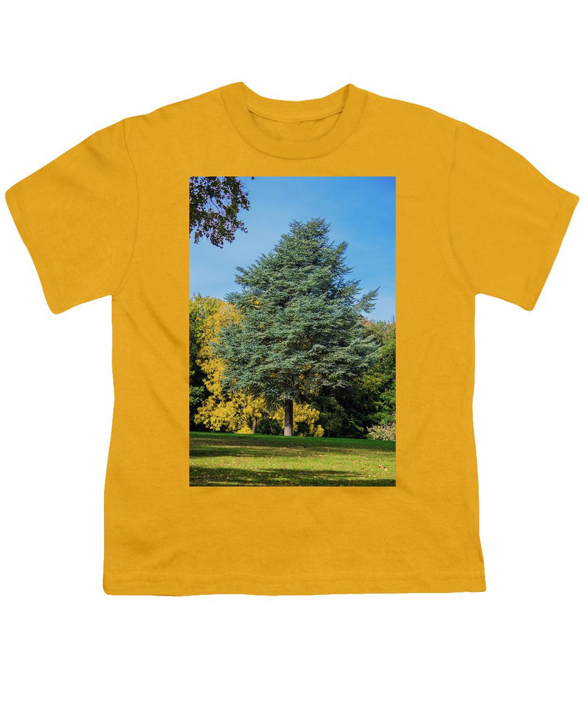 Autumn Leaf Color - Youth T-Shirt