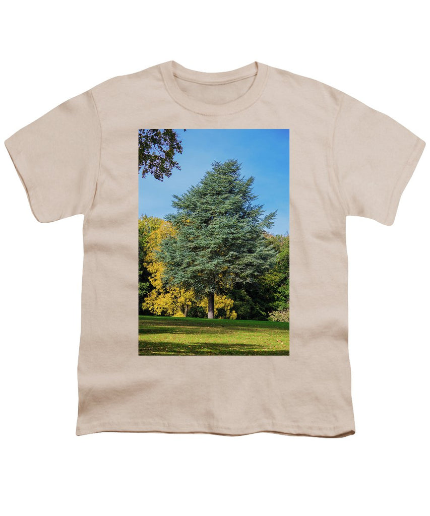 Autumn Leaf Color - Youth T-Shirt