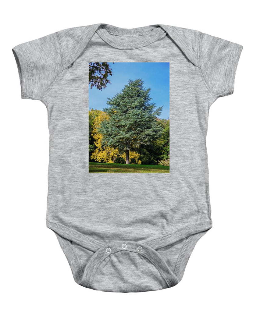 Autumn Leaf Color - Baby Onesie