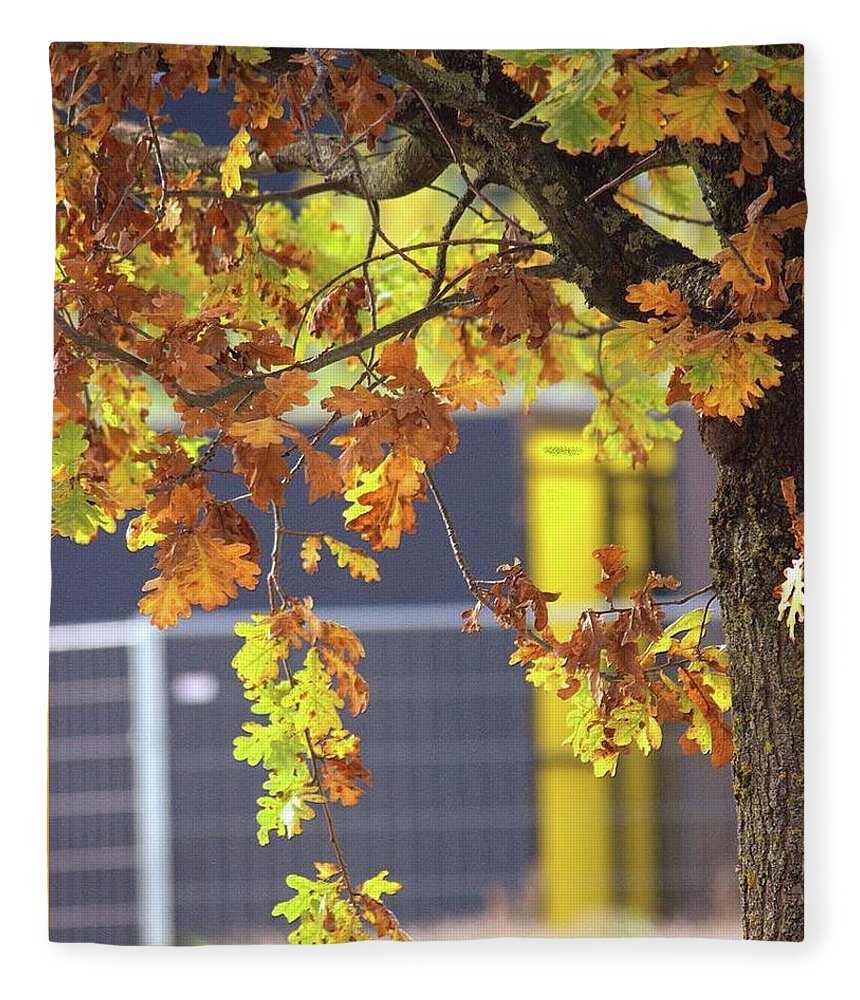 Autumn Leaves - Blanket