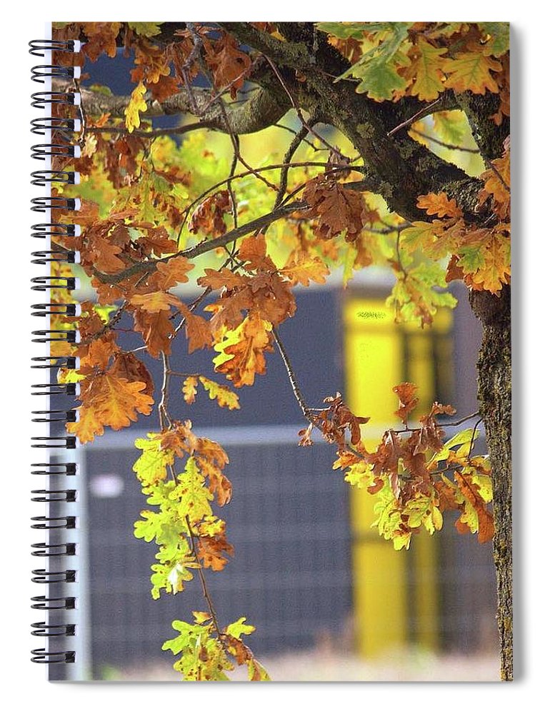 Autumn Leaves - Spiral Notebook