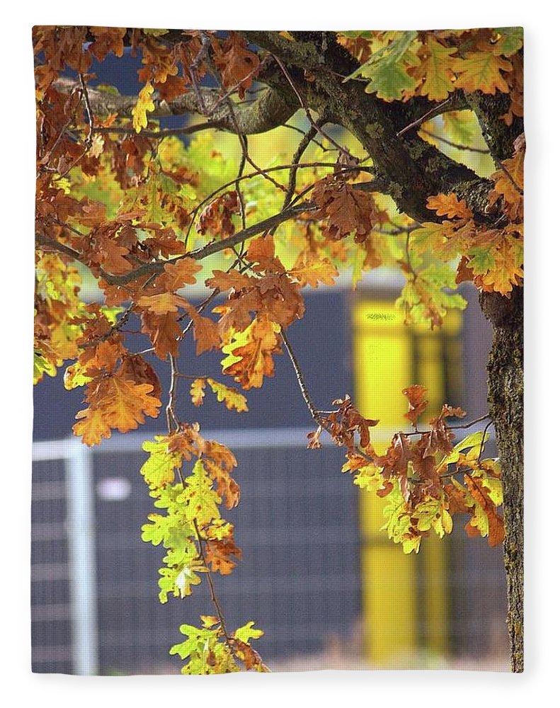 Autumn Leaves - Blanket