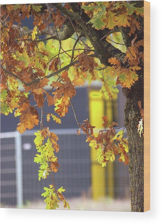 Autumn Leaves - Wood Print