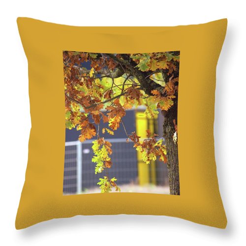 Autumn Leaves - Throw Pillow