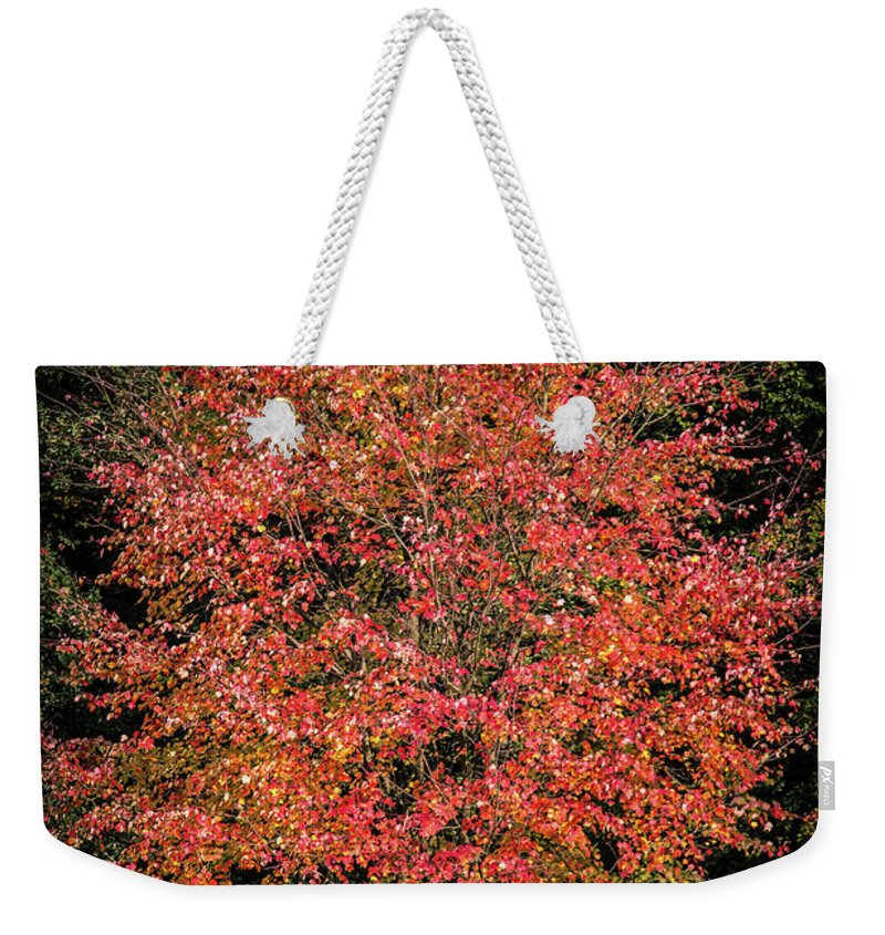 Autumn Touch  - Weekender Tote Bag