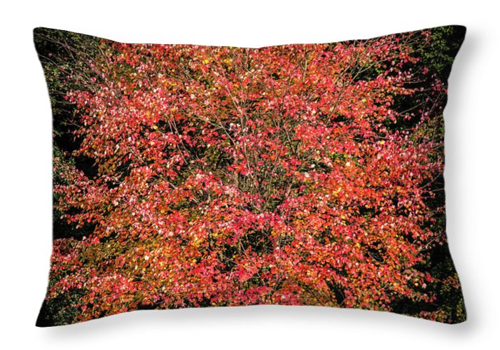 Autumn Touch  - Throw Pillow