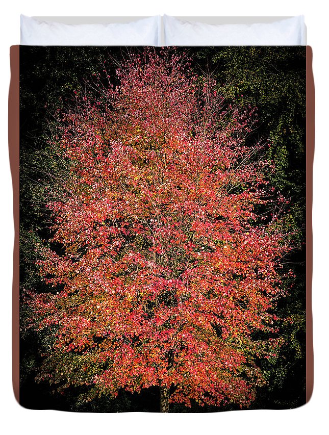 Autumn Touch  - Duvet Cover