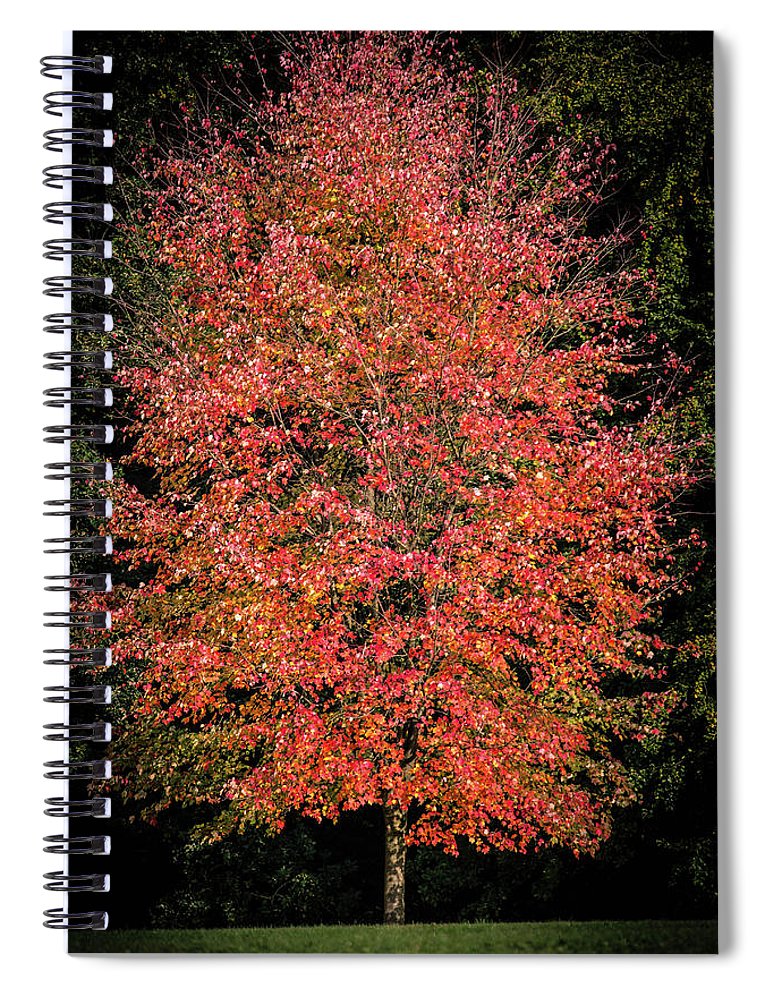 Autumn Touch  - Spiral Notebook