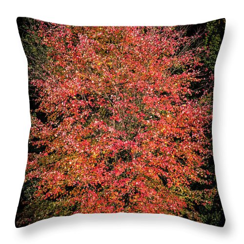 Autumn Touch  - Throw Pillow