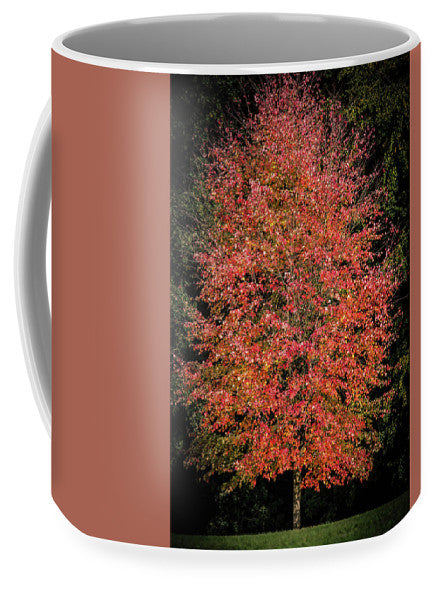 Autumn Touch  - Mug