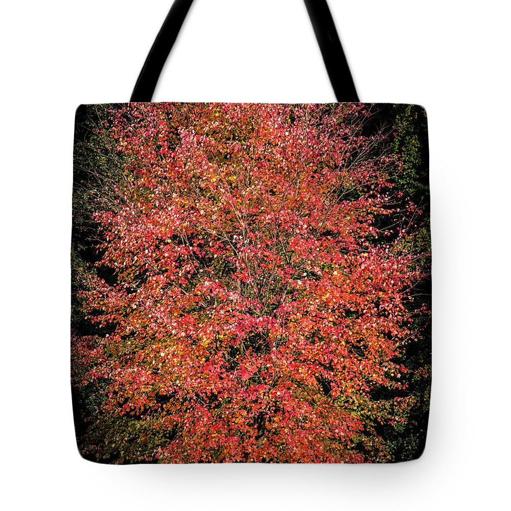 Autumn Touch  - Tote Bag