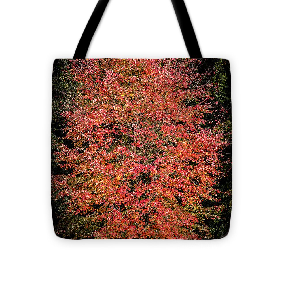 Autumn Touch  - Tote Bag