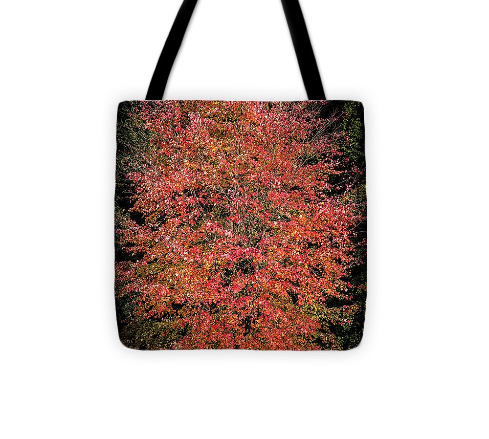 Autumn Touch  - Tote Bag