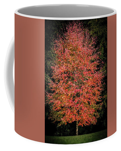 Autumn Touch  - Mug