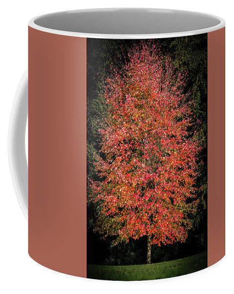 Autumn Touch  - Mug