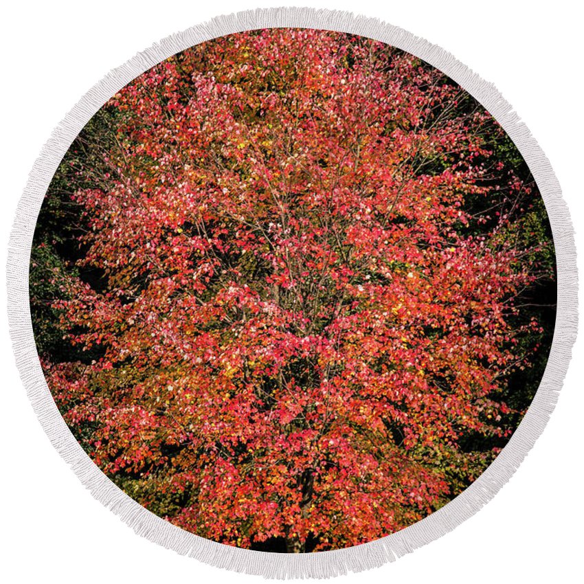 Autumn Touch  - Round Beach Towel