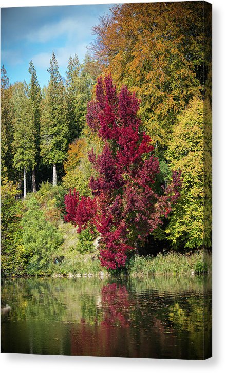 Autumnal View In Belgium - Canvas Print