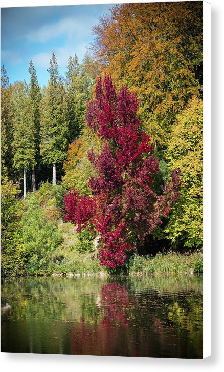 Autumnal View In Belgium - Canvas Print