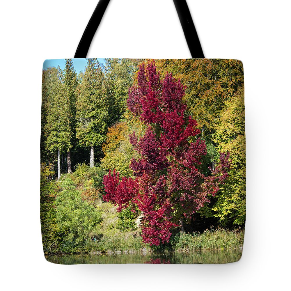 Autumnal View In Belgium - Tote Bag