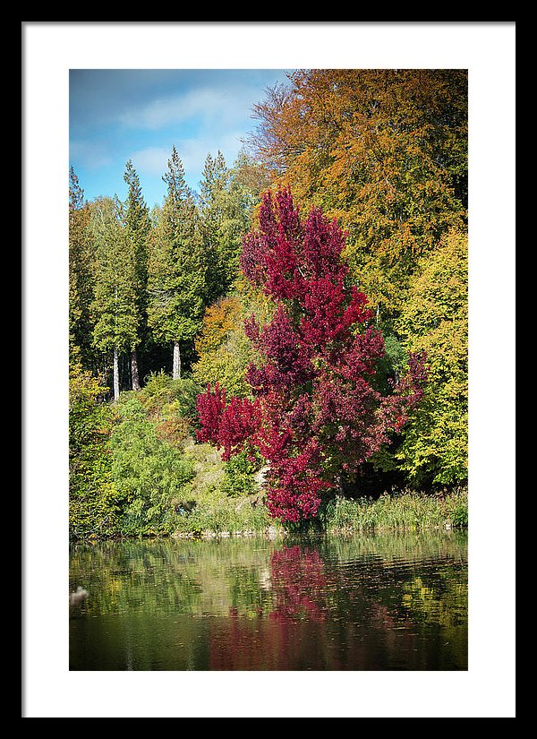 Autumnal View In Belgium - Framed Print