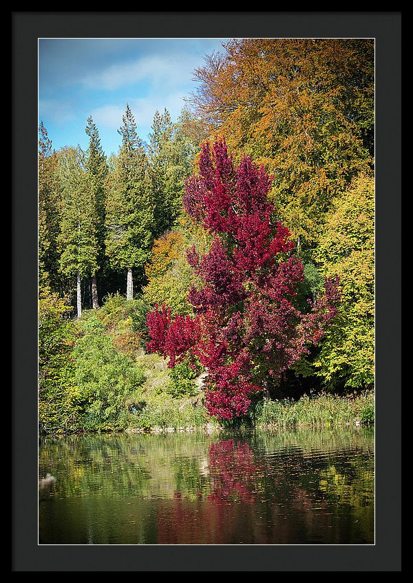 Autumnal View In Belgium - Framed Print