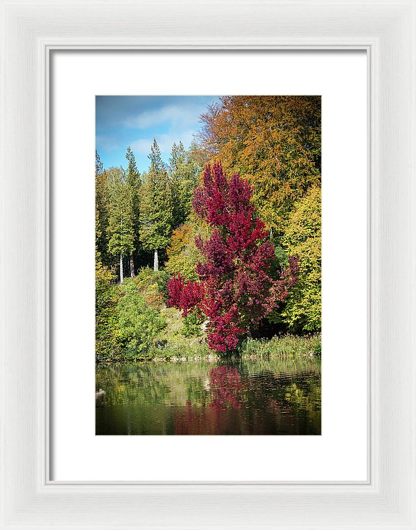 Autumnal View In Belgium - Framed Print