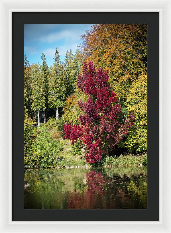 Autumnal View In Belgium - Framed Print