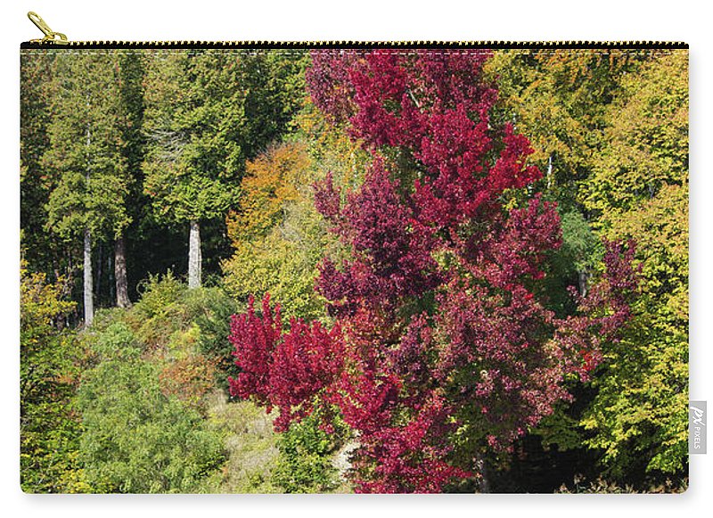 Autumnal View In Belgium - Carry-All Pouch