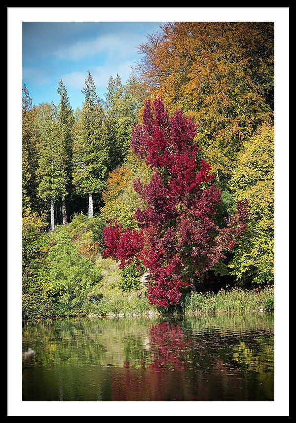 Autumnal View In Belgium - Framed Print