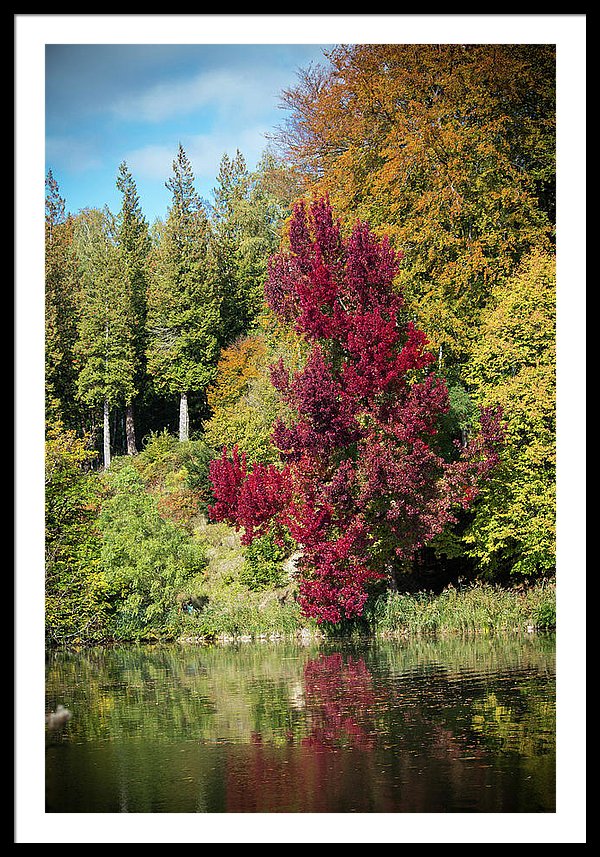 Autumnal View In Belgium - Framed Print