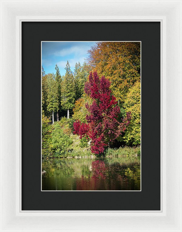 Autumnal View In Belgium - Framed Print