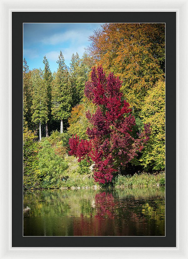 Autumnal View In Belgium - Framed Print