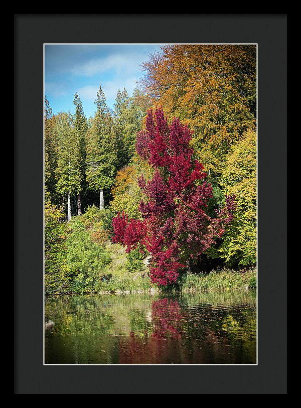 Autumnal View In Belgium - Framed Print