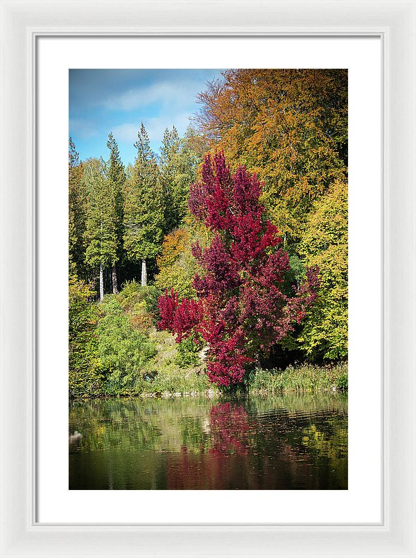 Autumnal View In Belgium - Framed Print