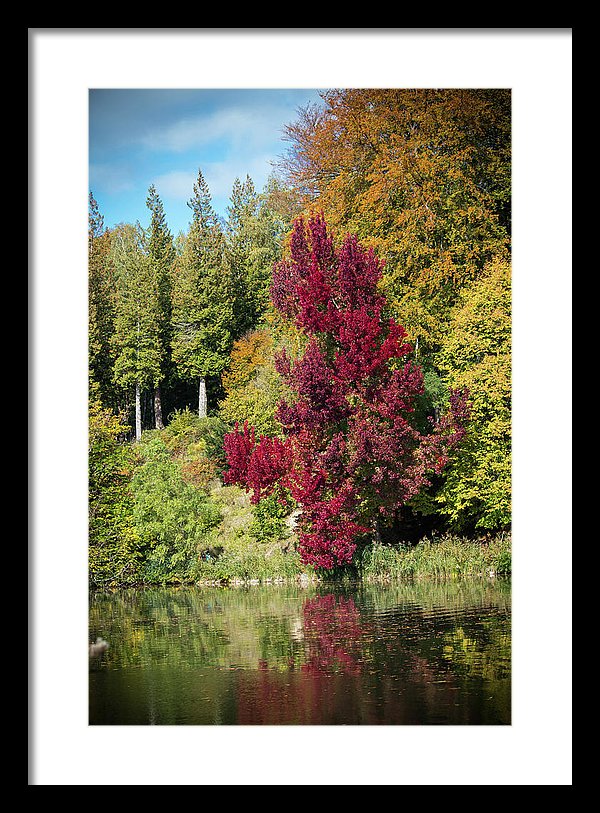 Autumnal View In Belgium - Framed Print