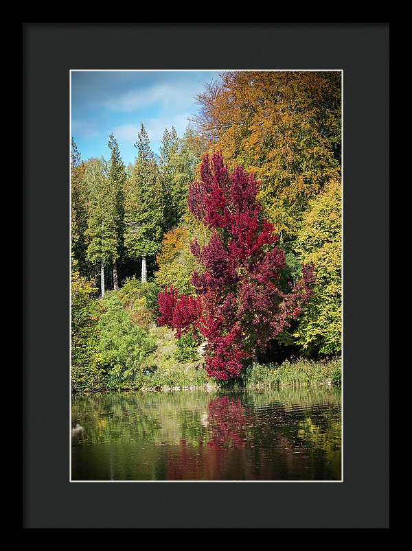 Autumnal View In Belgium - Framed Print