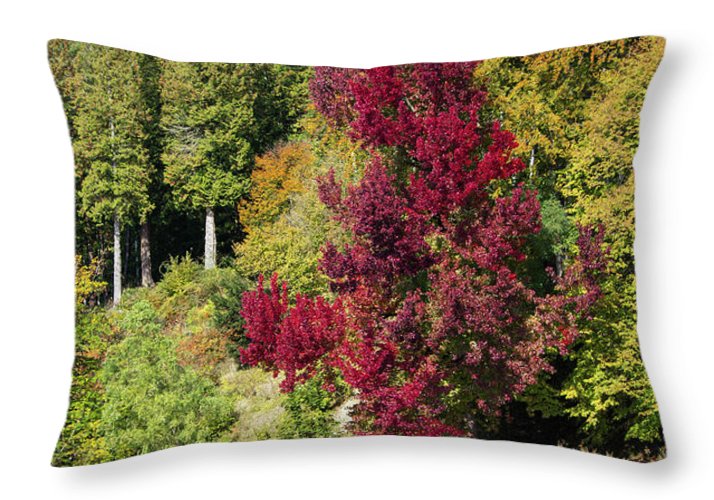 Autumnal View In Belgium - Throw Pillow
