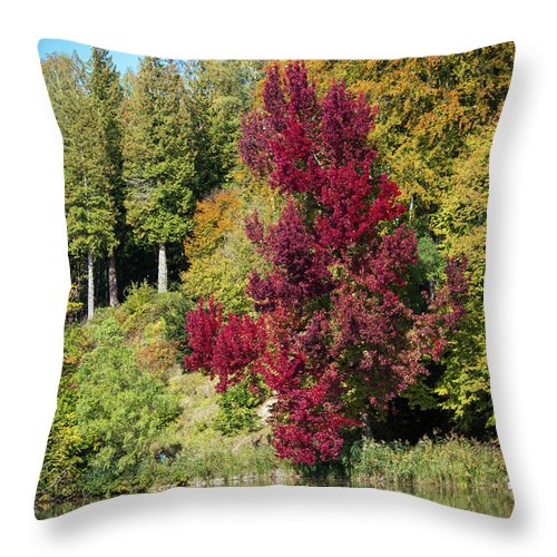 Autumnal View In Belgium - Throw Pillow