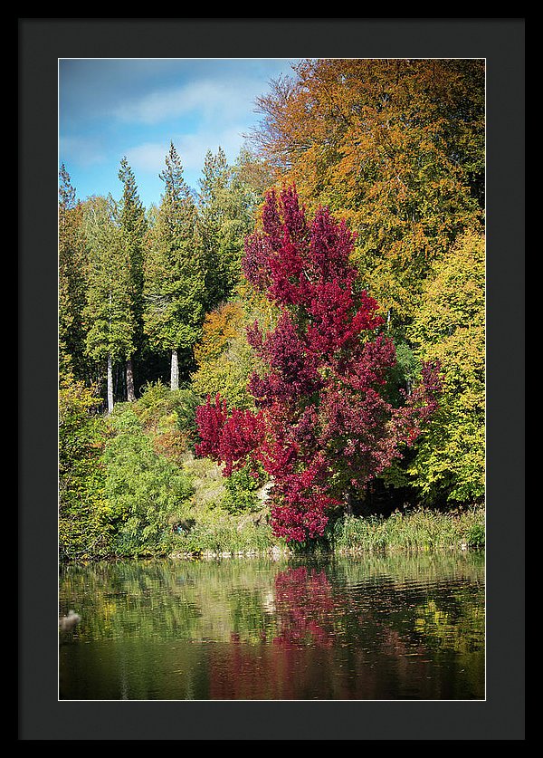 Autumnal View In Belgium - Framed Print