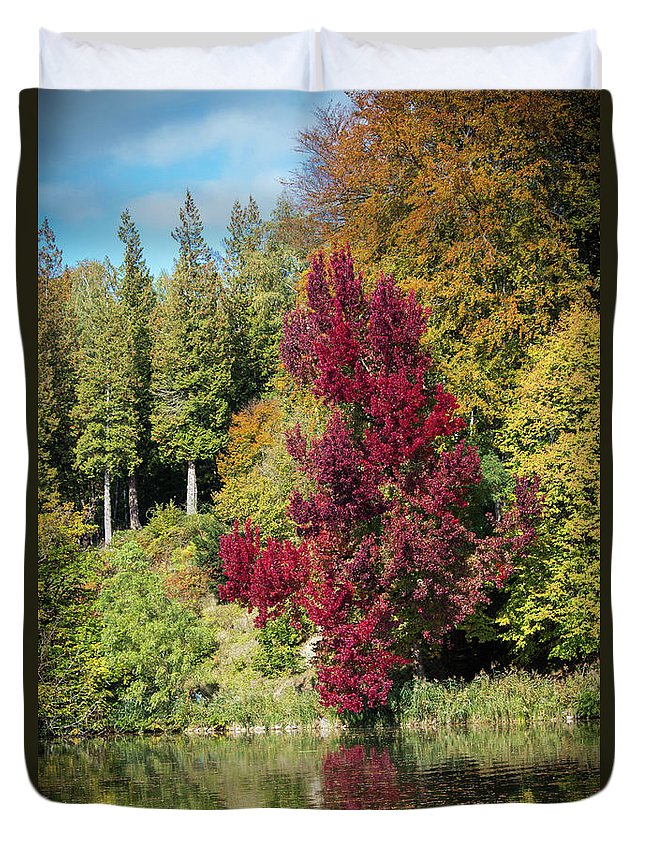Autumnal View In Belgium - Duvet Cover
