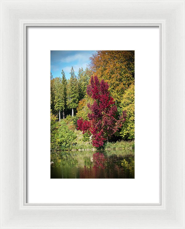 Autumnal View In Belgium - Framed Print