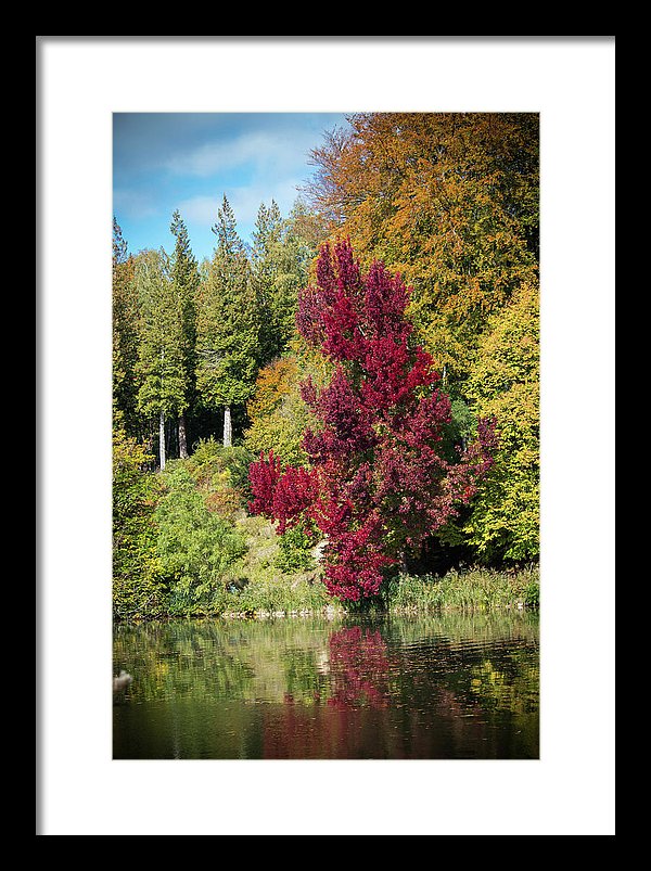 Autumnal View In Belgium - Framed Print