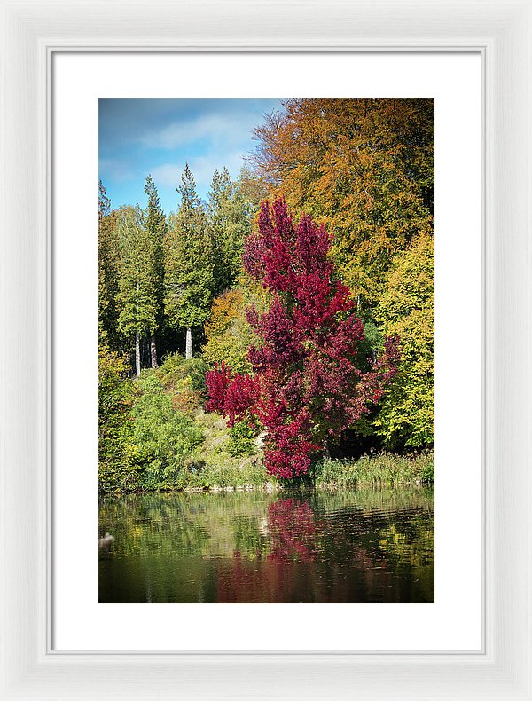 Autumnal View In Belgium - Framed Print