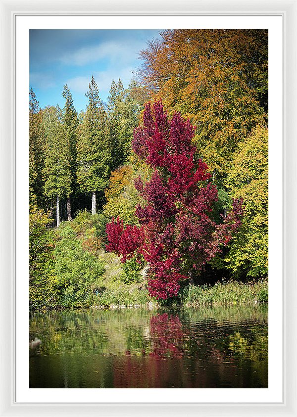 Autumnal View In Belgium - Framed Print