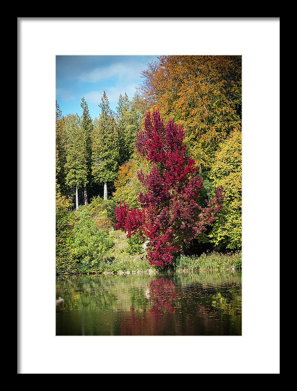 Autumnal View In Belgium - Framed Print