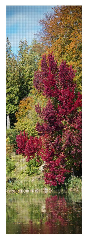 Autumnal View In Belgium - Yoga Mat