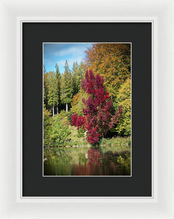 Autumnal View In Belgium - Framed Print