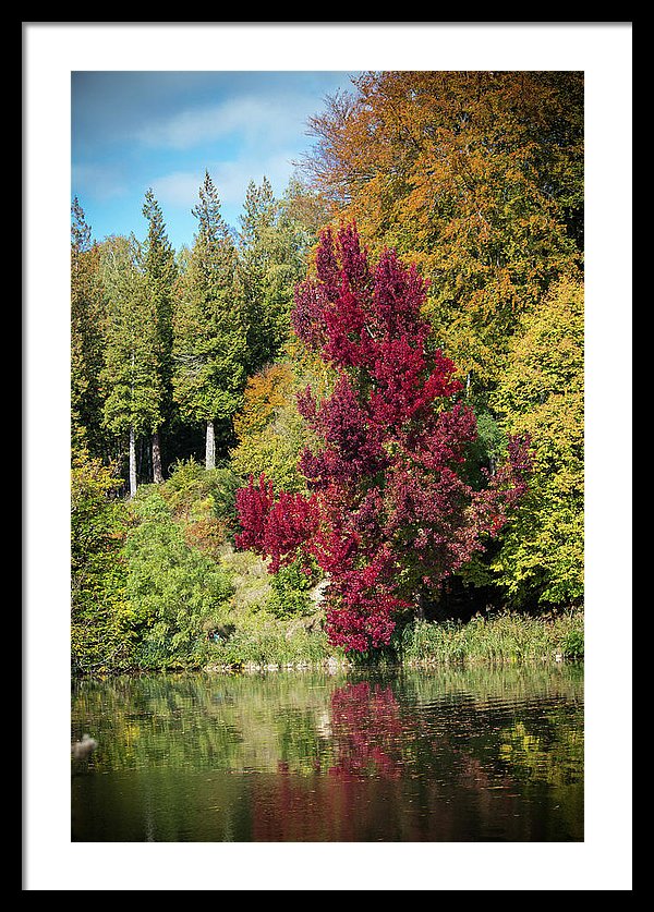 Autumnal View In Belgium - Framed Print