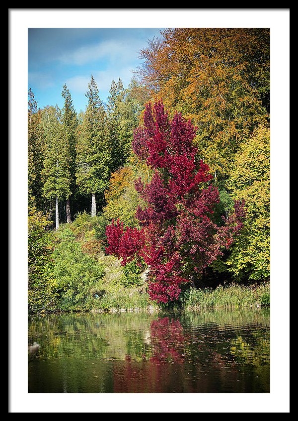 Autumnal View In Belgium - Framed Print