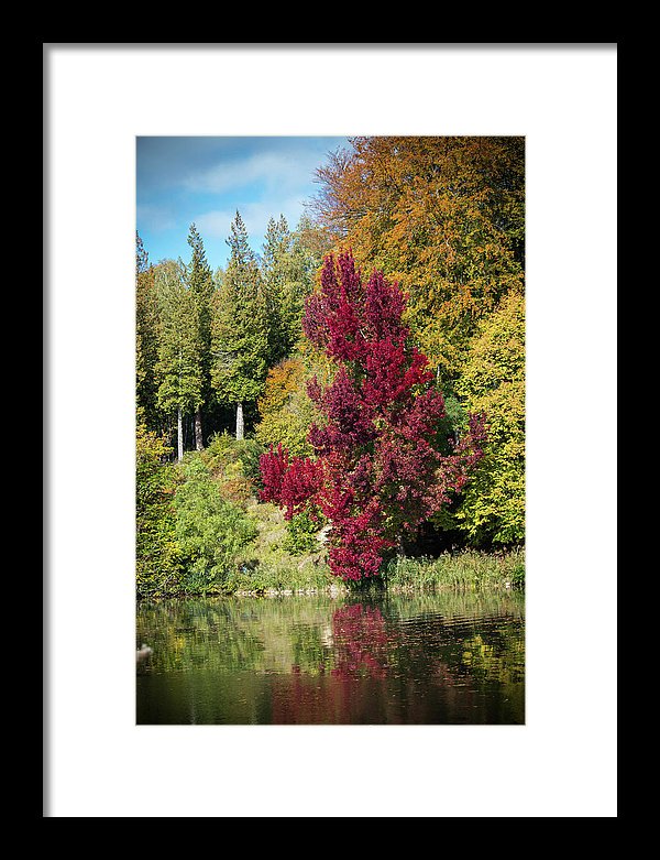 Autumnal View In Belgium - Framed Print